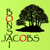 Bonsai Jacobs