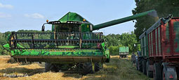 Erntezeit in der Landwirtschaft