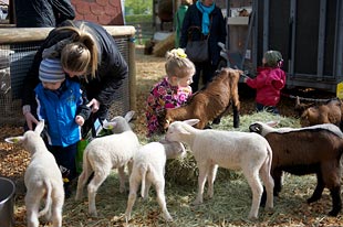 Streichelzoo an der NATUR Messe