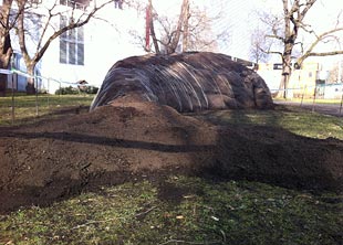 Kunstwerk La Baleine