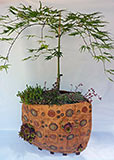 Bodenvase Keramik - winterfest, bepflanzt