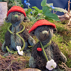 Waldbären von negundo