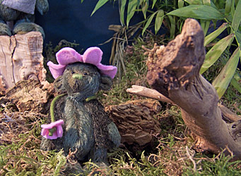 Waldbär von negundo